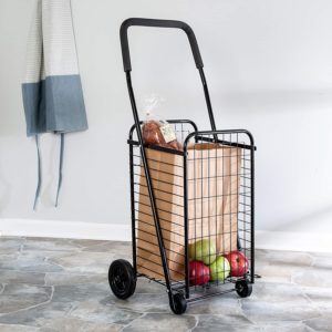 What are the Best Shopping Carts for Seniors